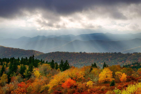 Fall in Love with Asheville: A Perfect Autumn Getaway