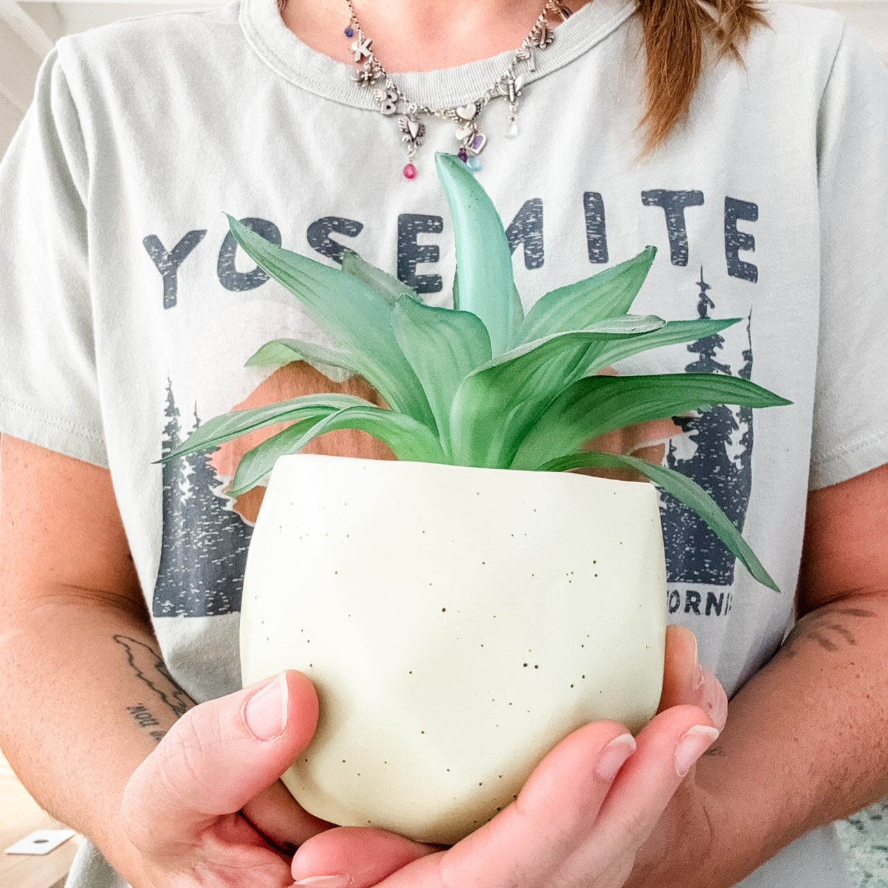 a person holding a potted plant in their hands