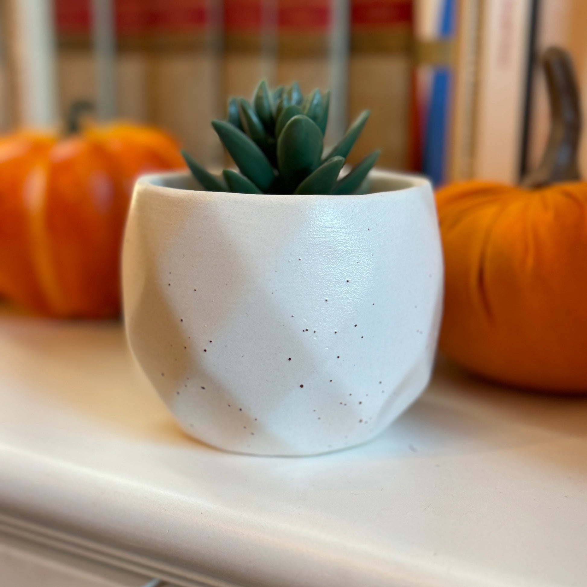 a white planter sitting on top of a white counter