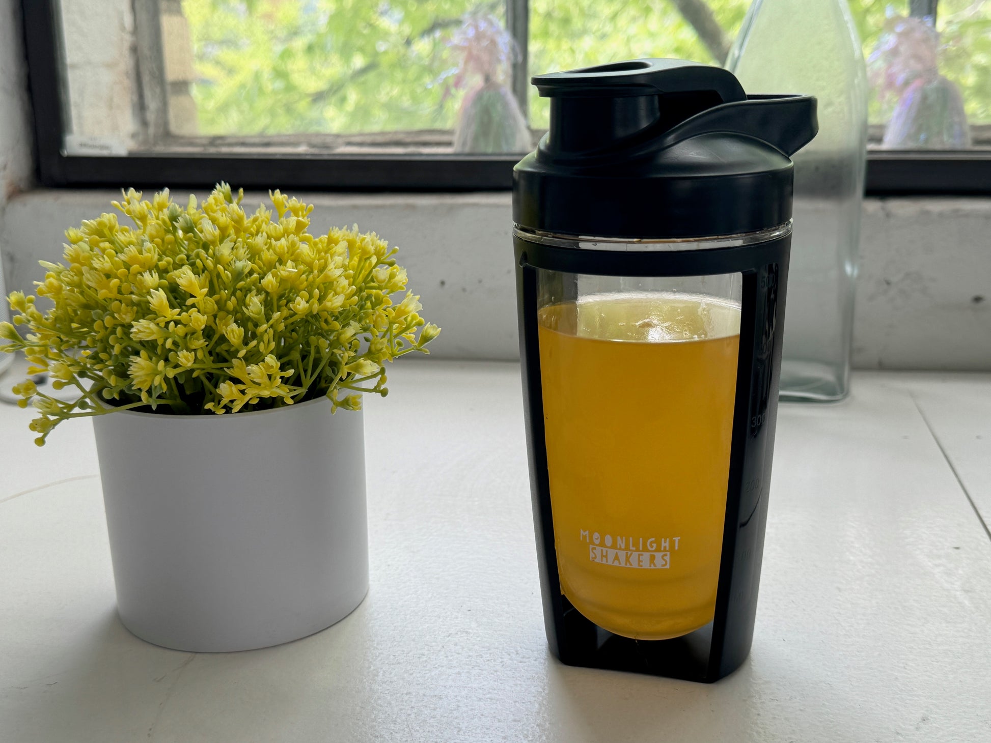 a glass of beer next to a potted plant