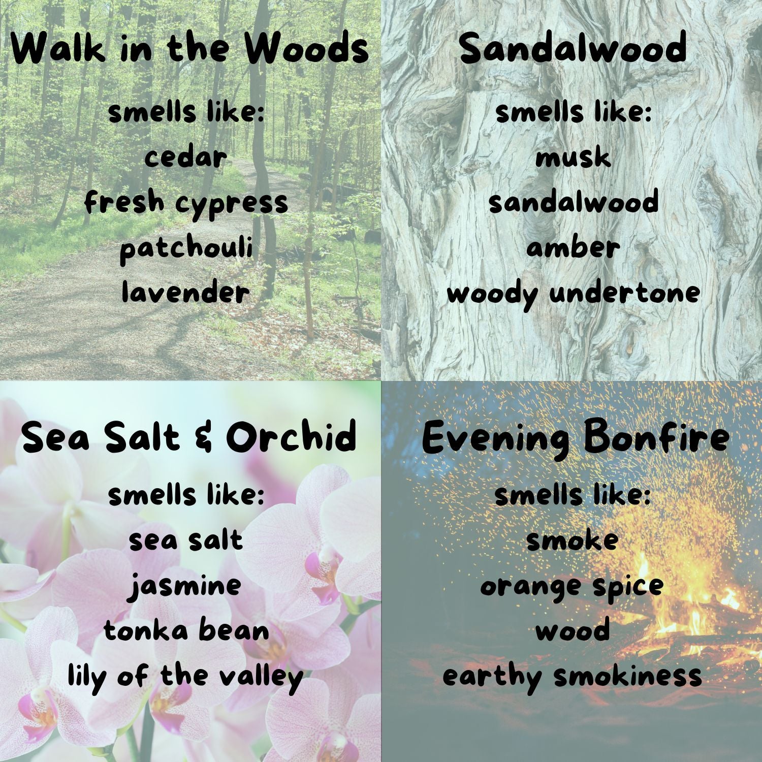 a poster with words describing different types of flowers