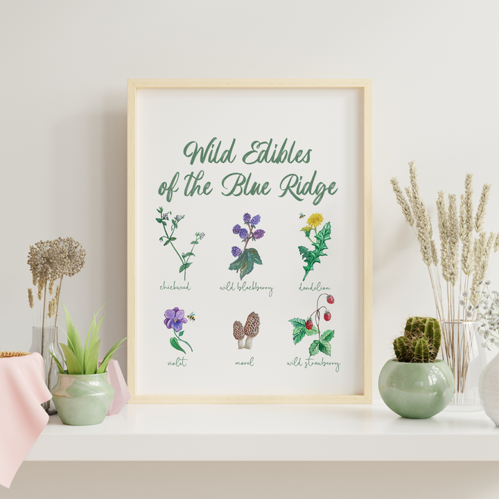 Wild Edibles Of The Blue Ridge Art Print