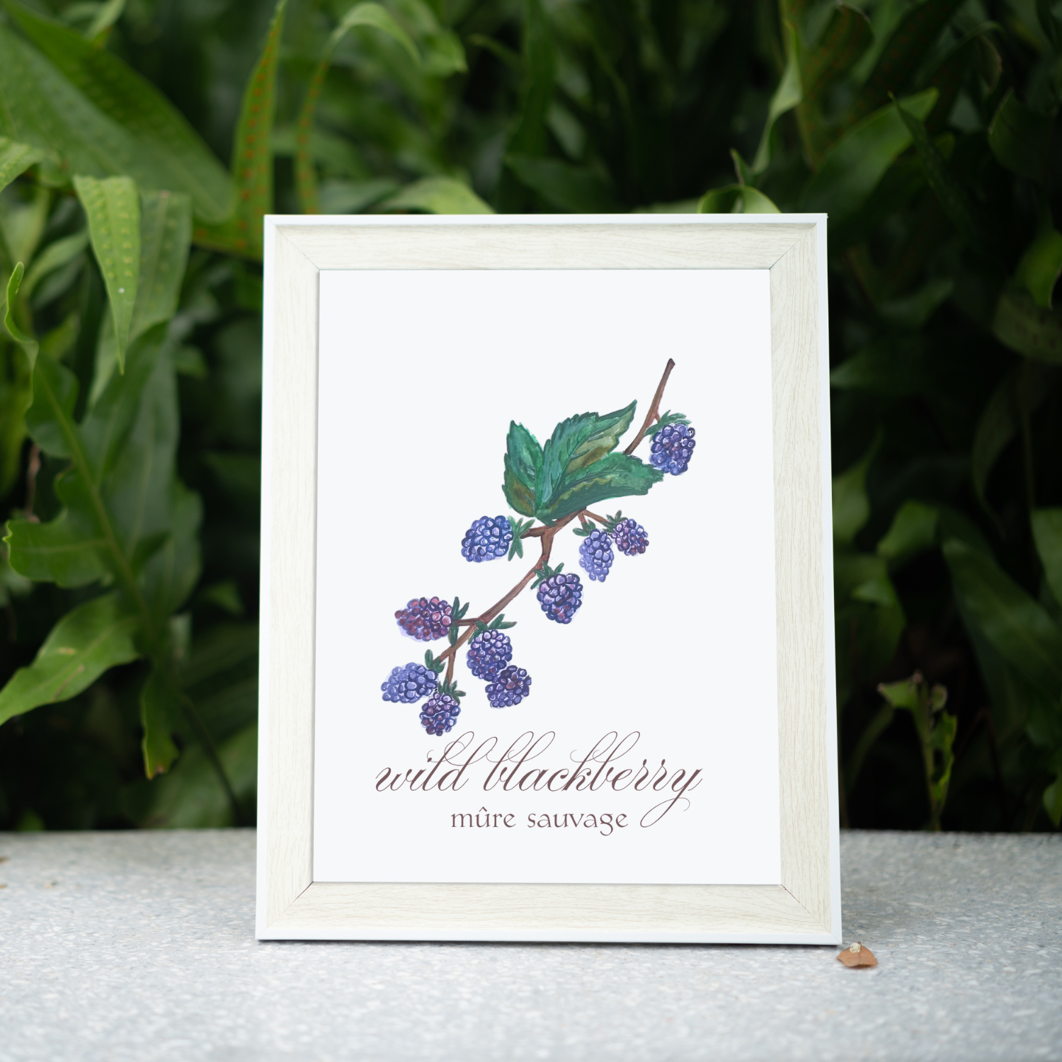 Wild Blackberry Art Print