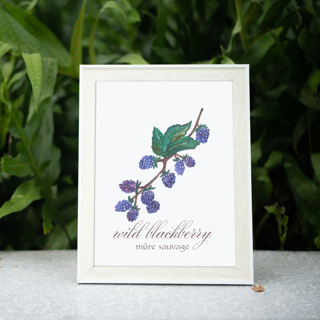 Wild Blackberry Art Print