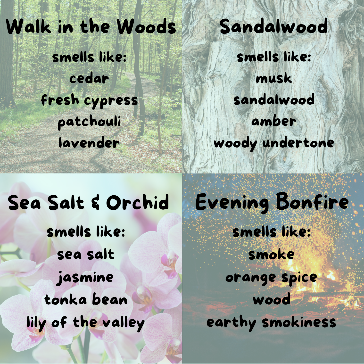 The image is a collage of four images, each depicting a different scent or smell associated with a specific type of wood or plant.