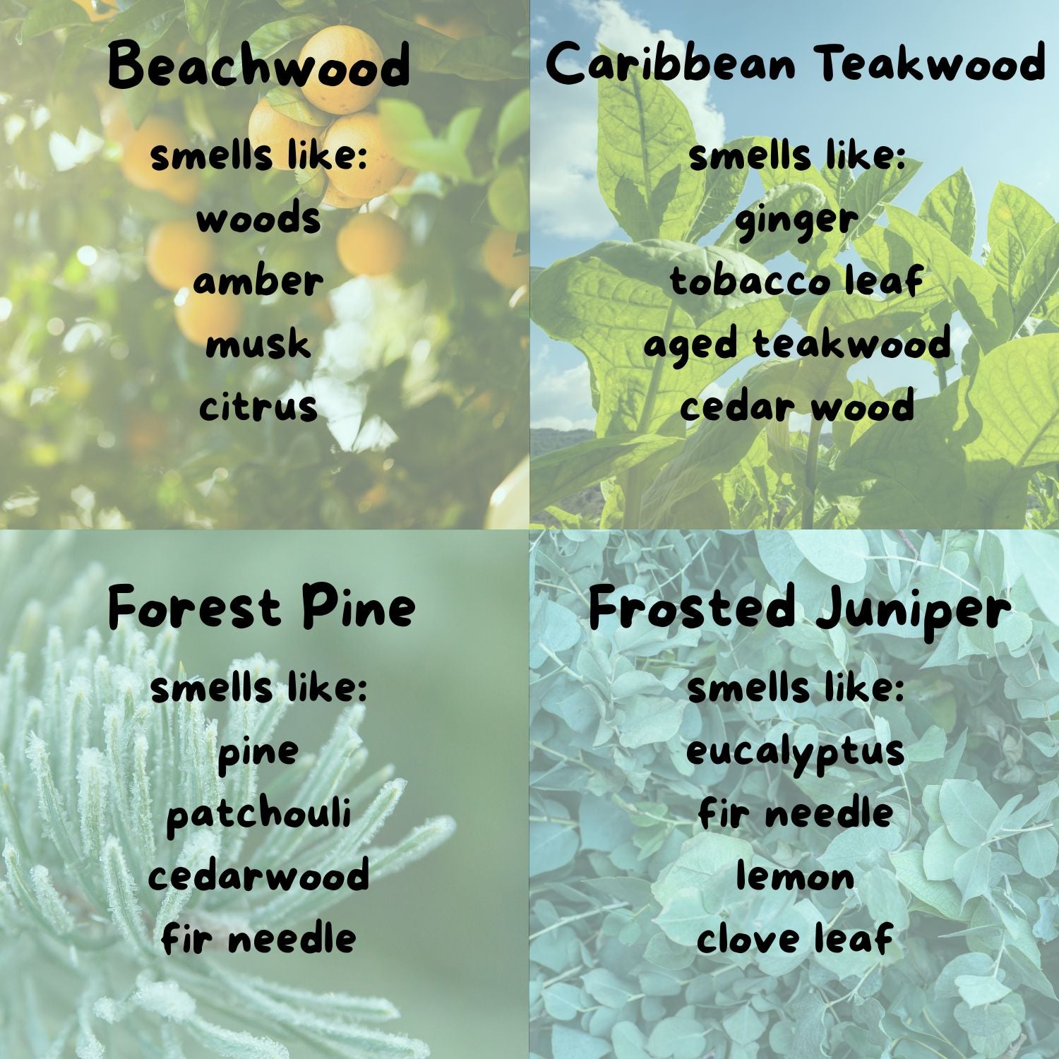 The image is a collage of four images, each depicting a different type of wood and its associated scent.