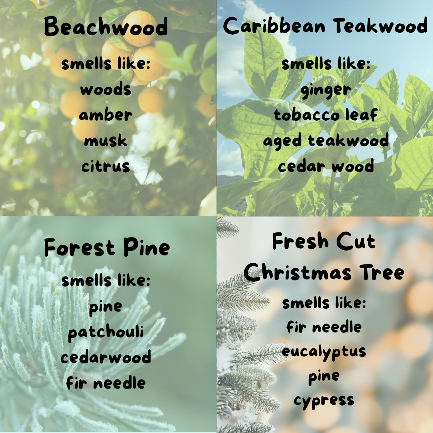 The image is a collage of four images, each depicting a different type of wood and its associated scent.