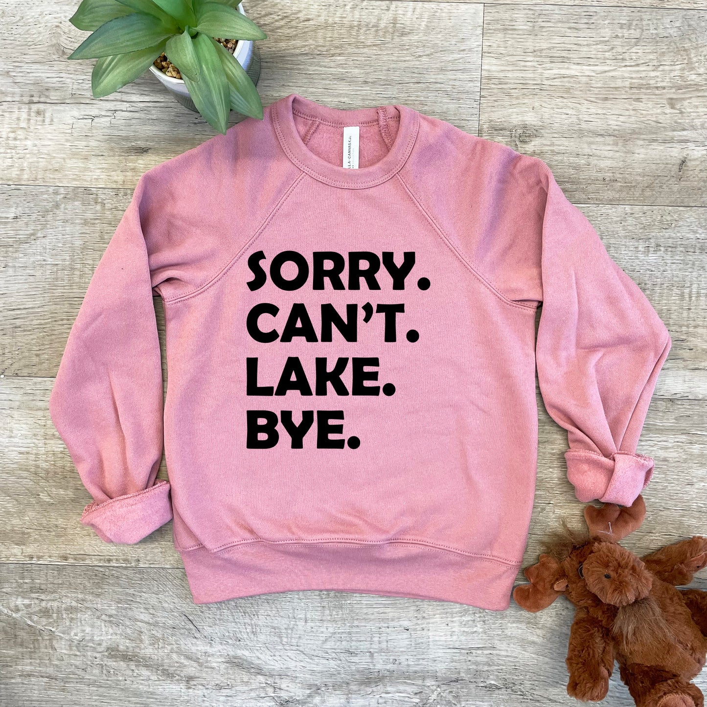 a pink sweatshirt that says sorry can't lake bye next to a teddy bear