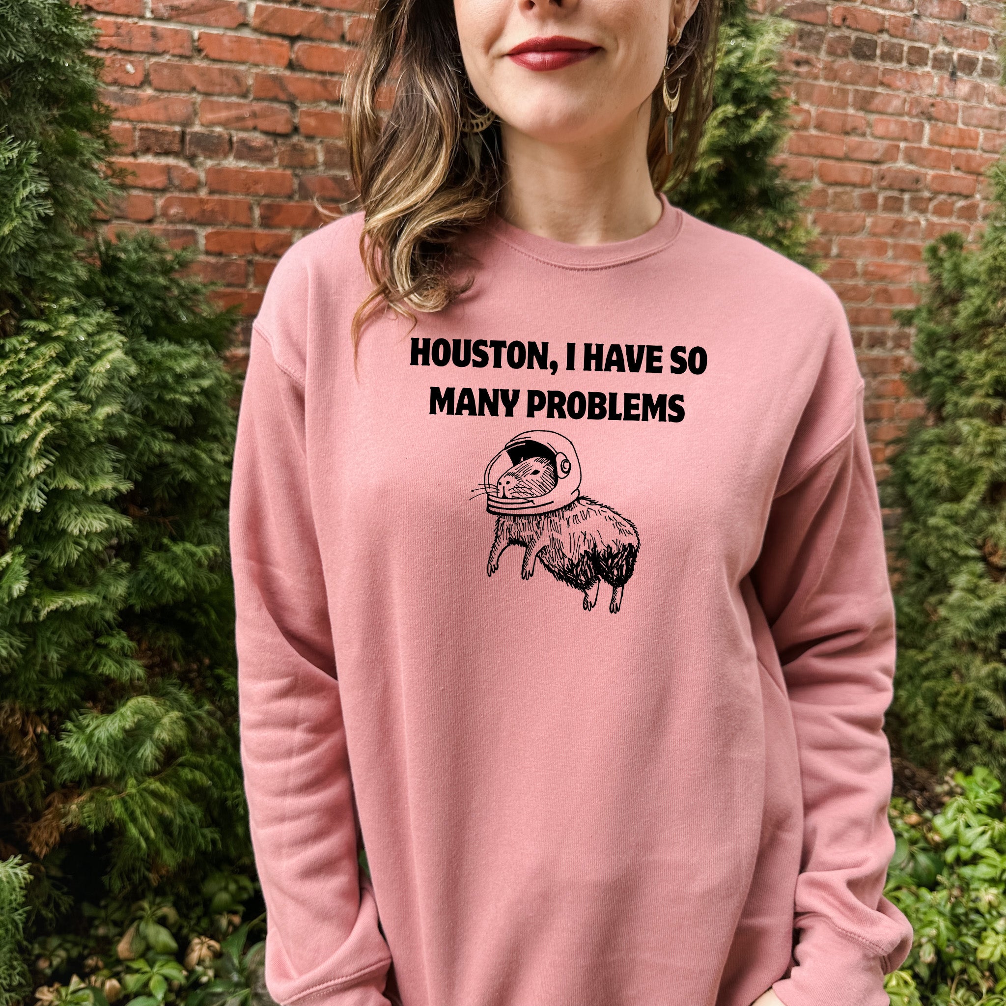 Houston, I Have So Many Problems - Unisex Sweatshirt