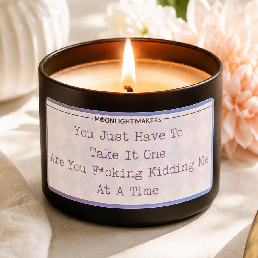 You Just Have To Take It One Are You F*cking Kidding Me At A Time - 8oz 100% Natural Soy Wax Candle