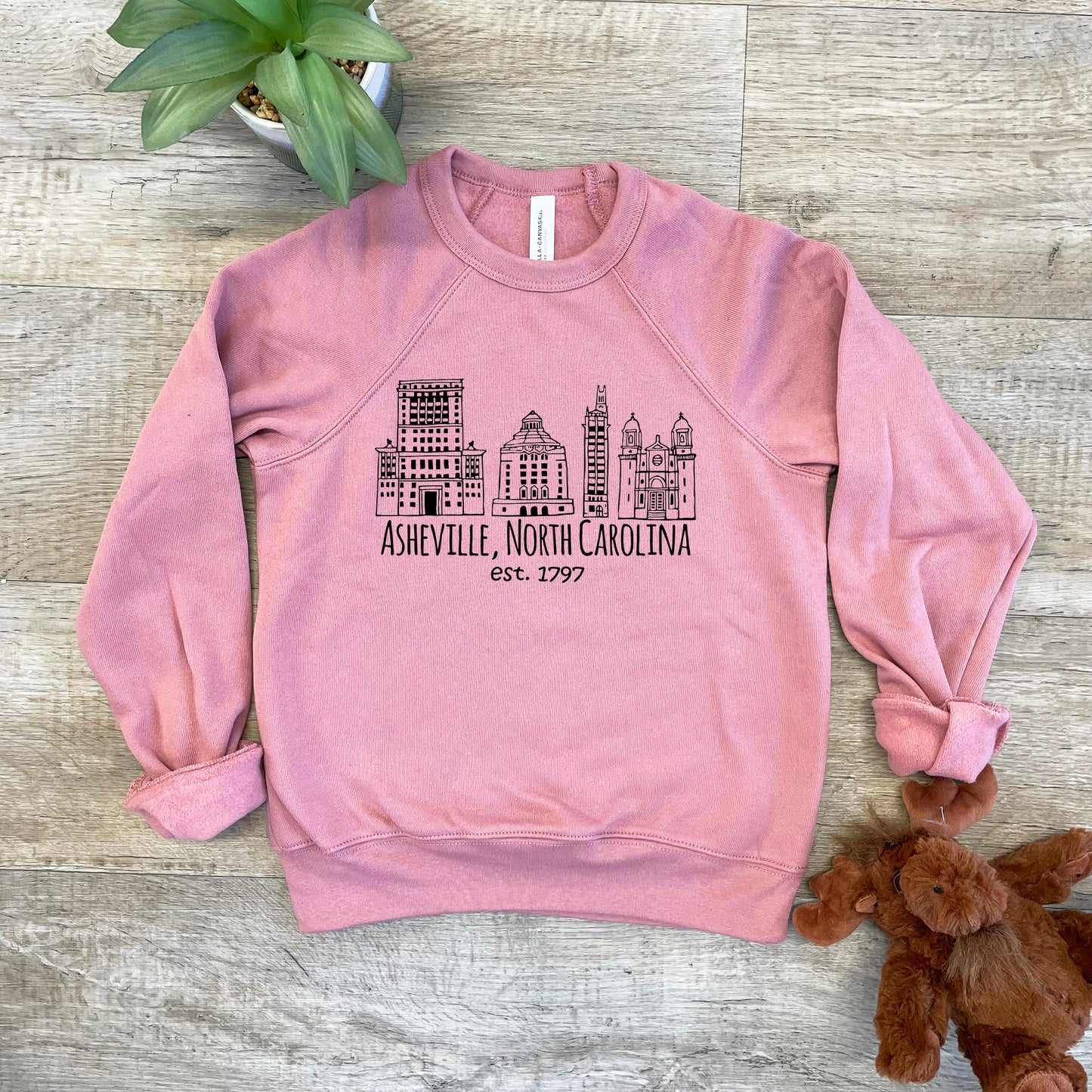 Downtown Historic Asheville NC - Kid's Sweatshirt - Heather Gray or Mauve