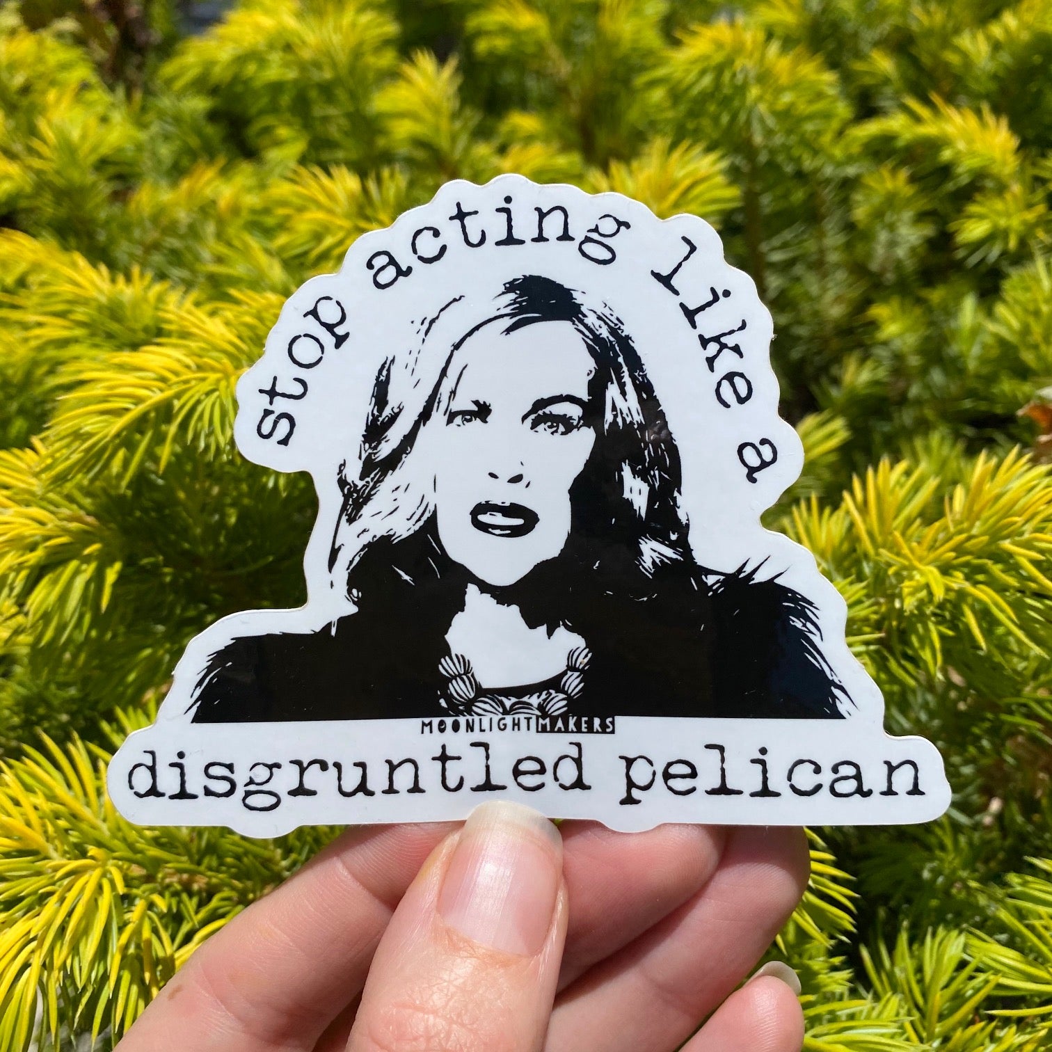 Stop Acting Like A Disgruntled Pelican (Schitt's Creek) - Die Cut Sticker - MoonlightMakers
