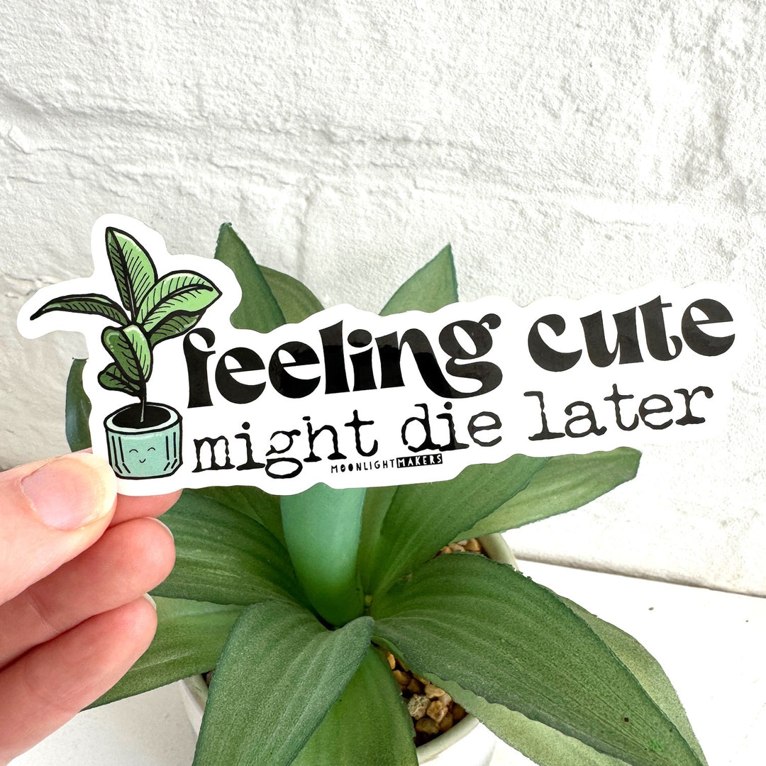 a hand holding a sticker that says feeling cute might die later