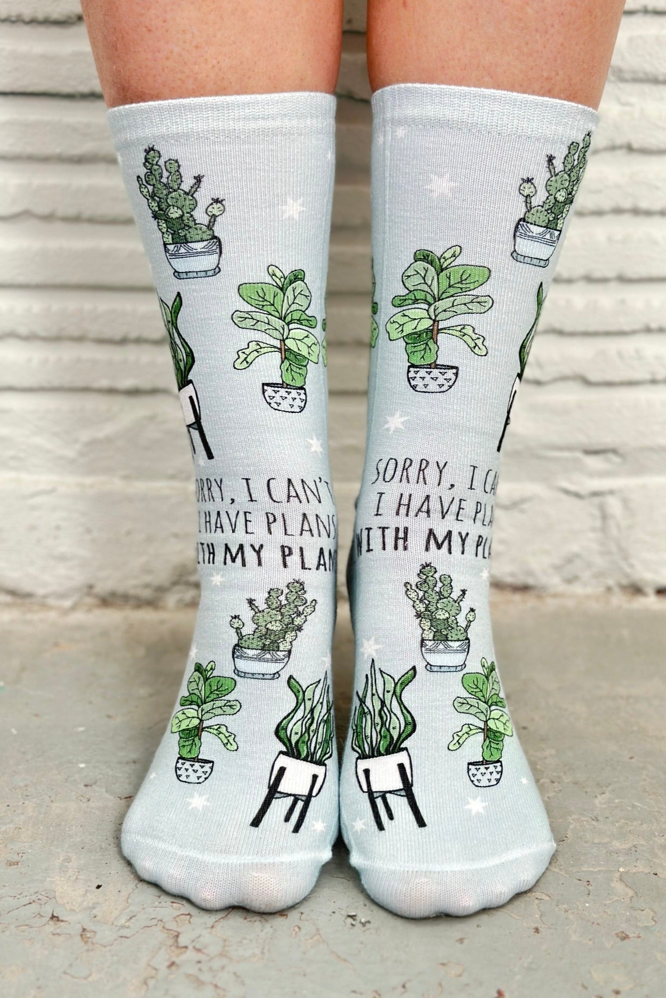 SALE - Sorry I Can't, I Have Plans With My Plants - Novelty Socks