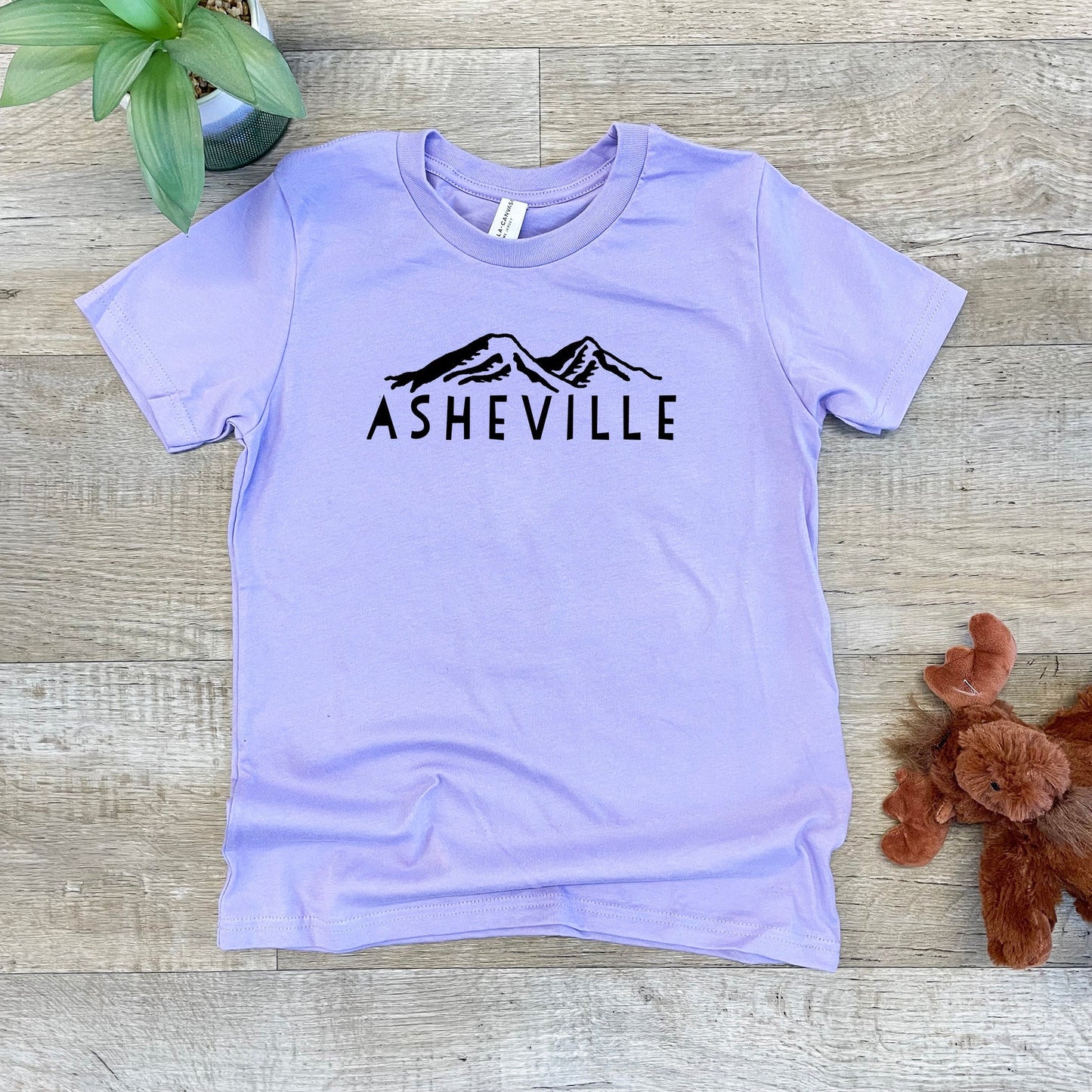Asheville NC Mountains - Kid's Tee - Columbia Blue or Lavender