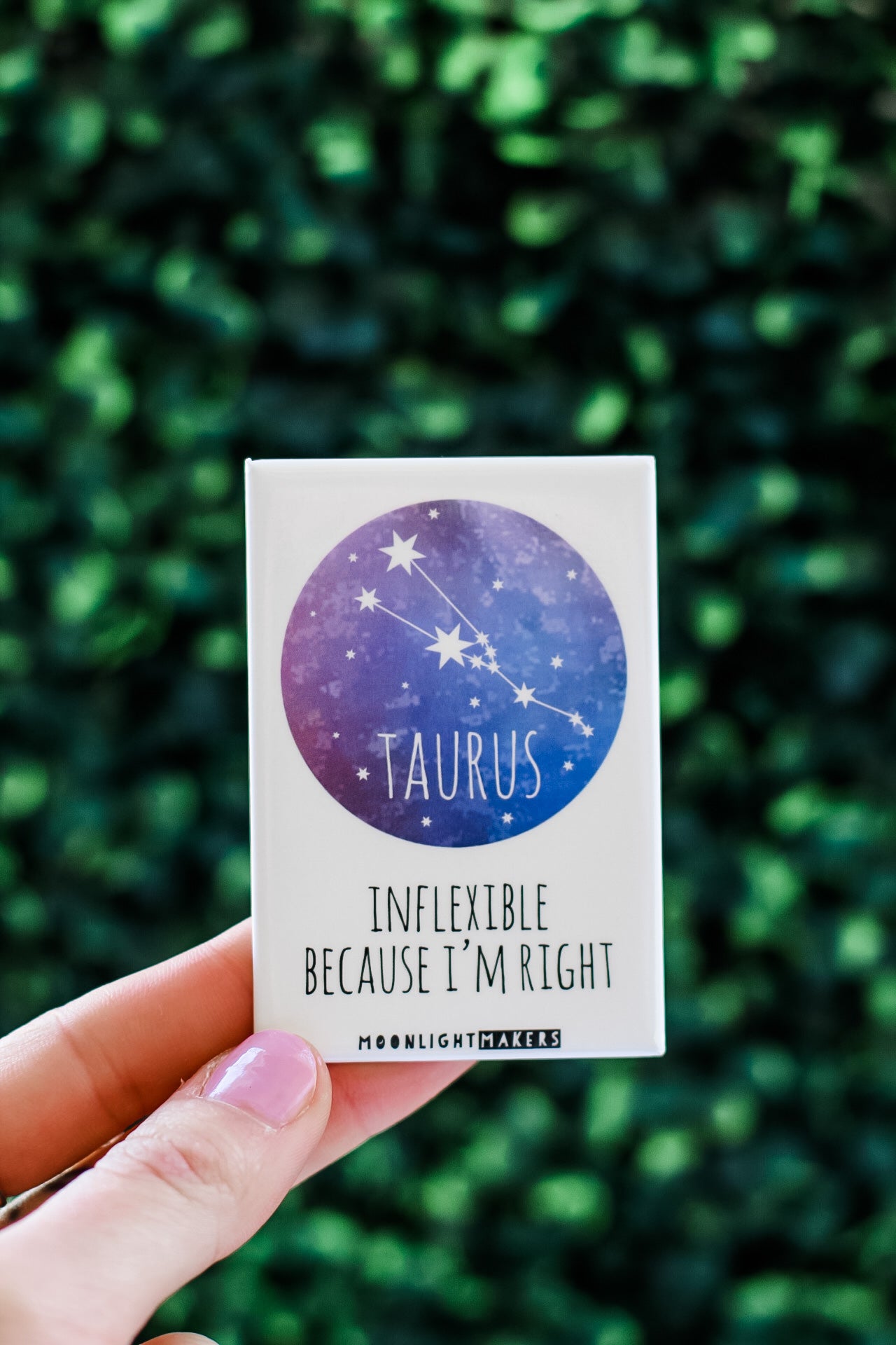 All Zodiac Magnets - MoonlightMakers
