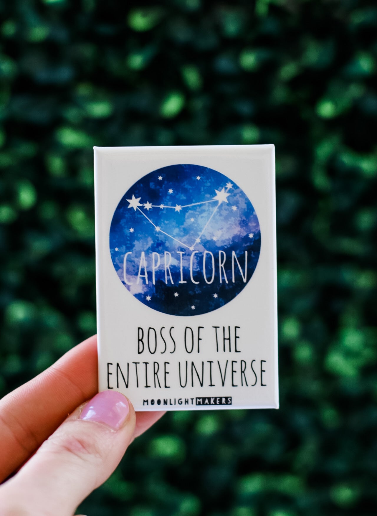 All Zodiac Magnets - MoonlightMakers