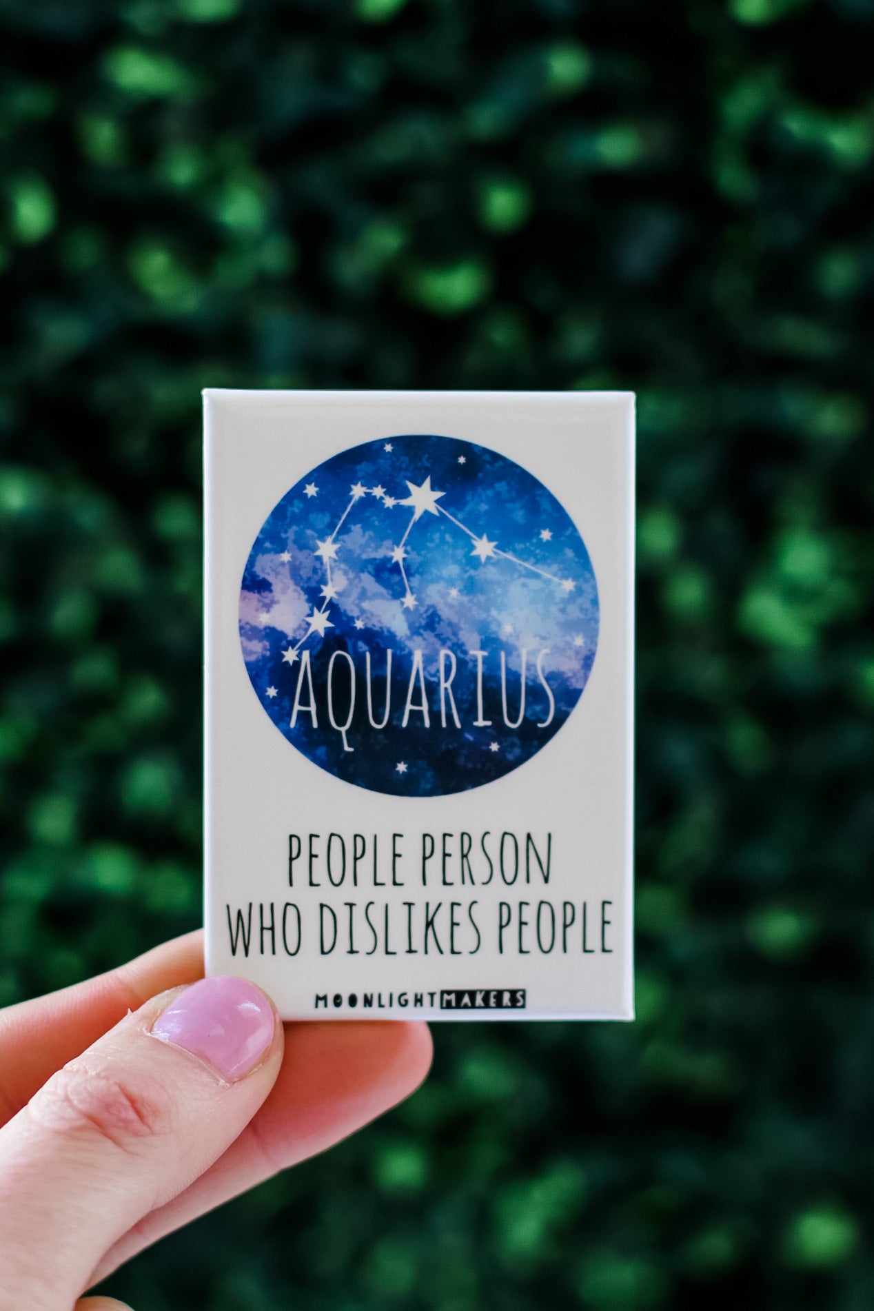 All Zodiac Magnets - MoonlightMakers