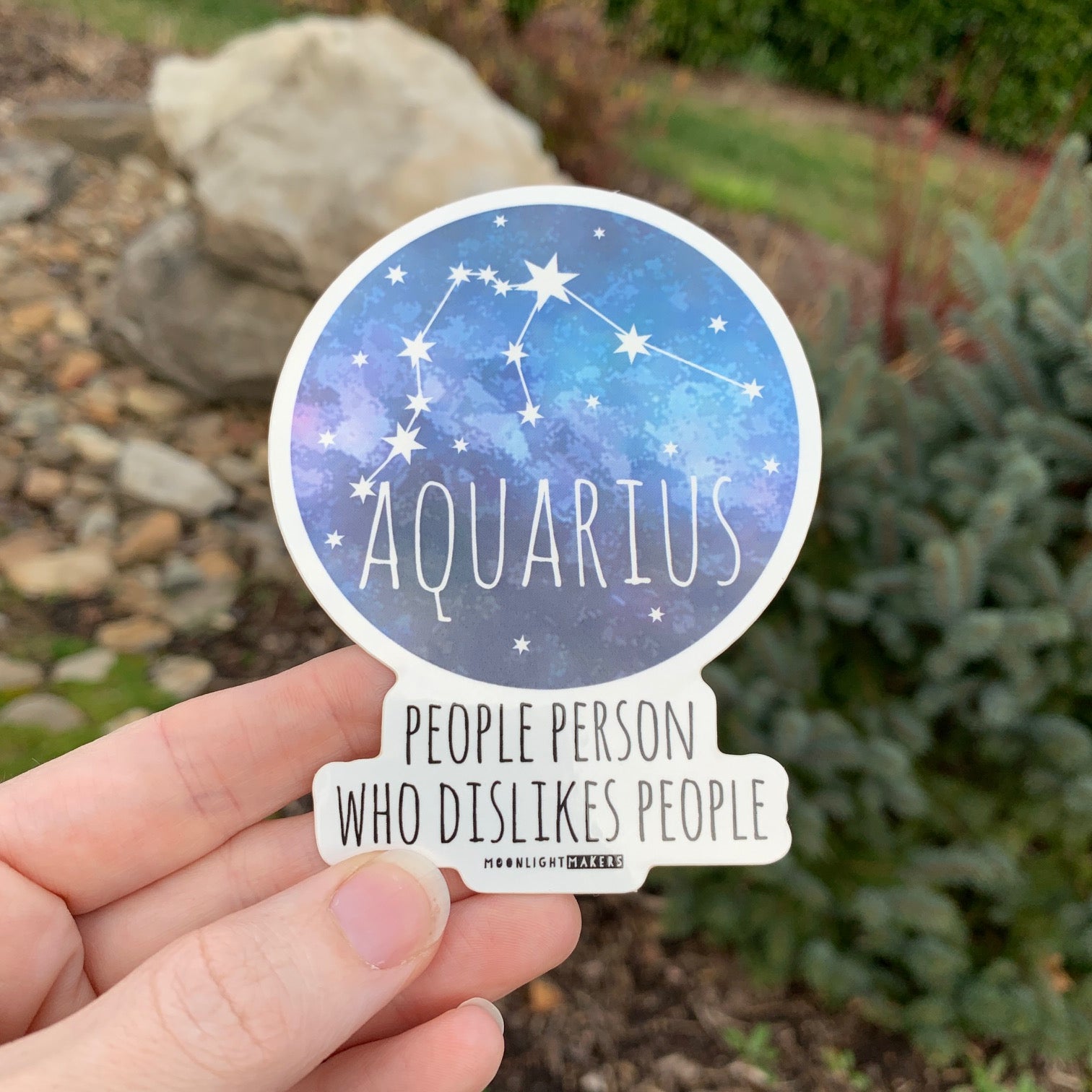 Signs of the Zodiac/ Star Sign - Die Cut Sticker - MoonlightMakers