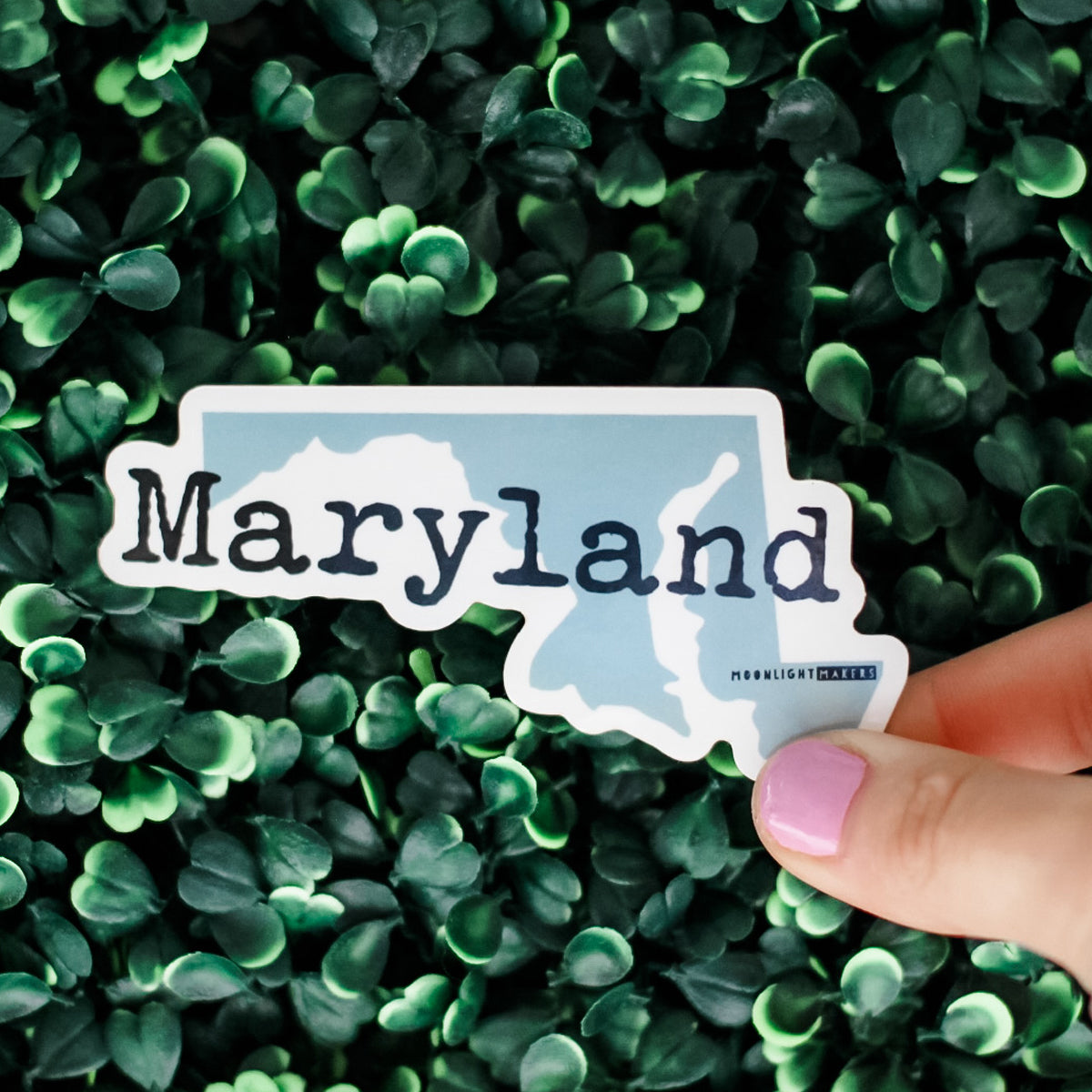 All States Stickers - MoonlightMakers