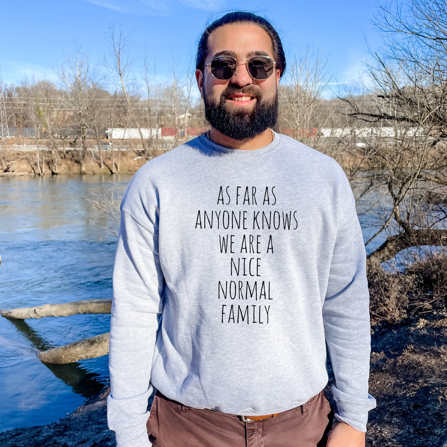 As Far As Anyone Knows We Are A Nice Normal Family - Unisex Sweatshirt - Heather Gray or Dusty Blue