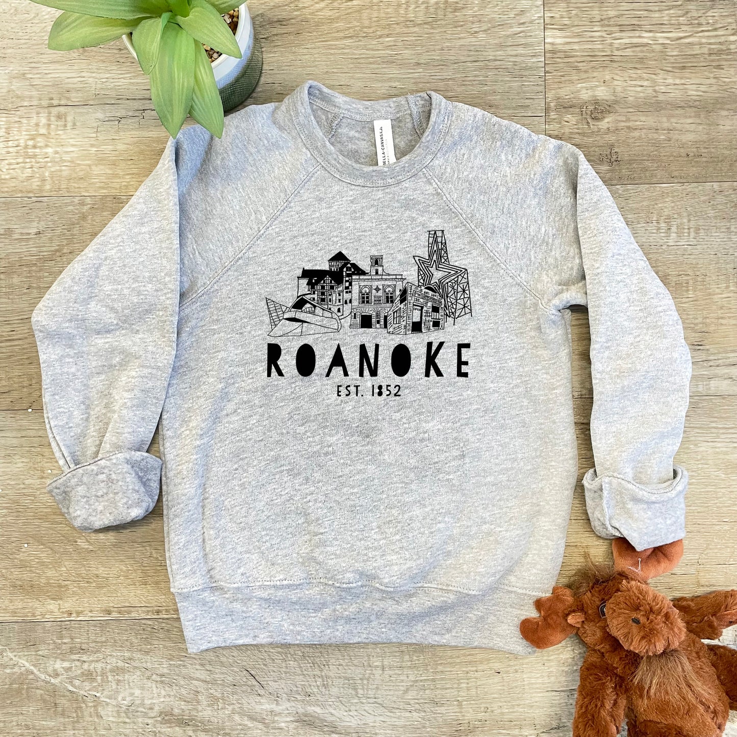 Roanoke, Virginia (VA) - Kid's Sweatshirt - Heather Gray or Mauve